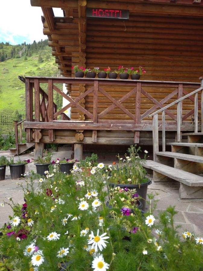 אלמטי Hostel Shymbulak מראה חיצוני תמונה